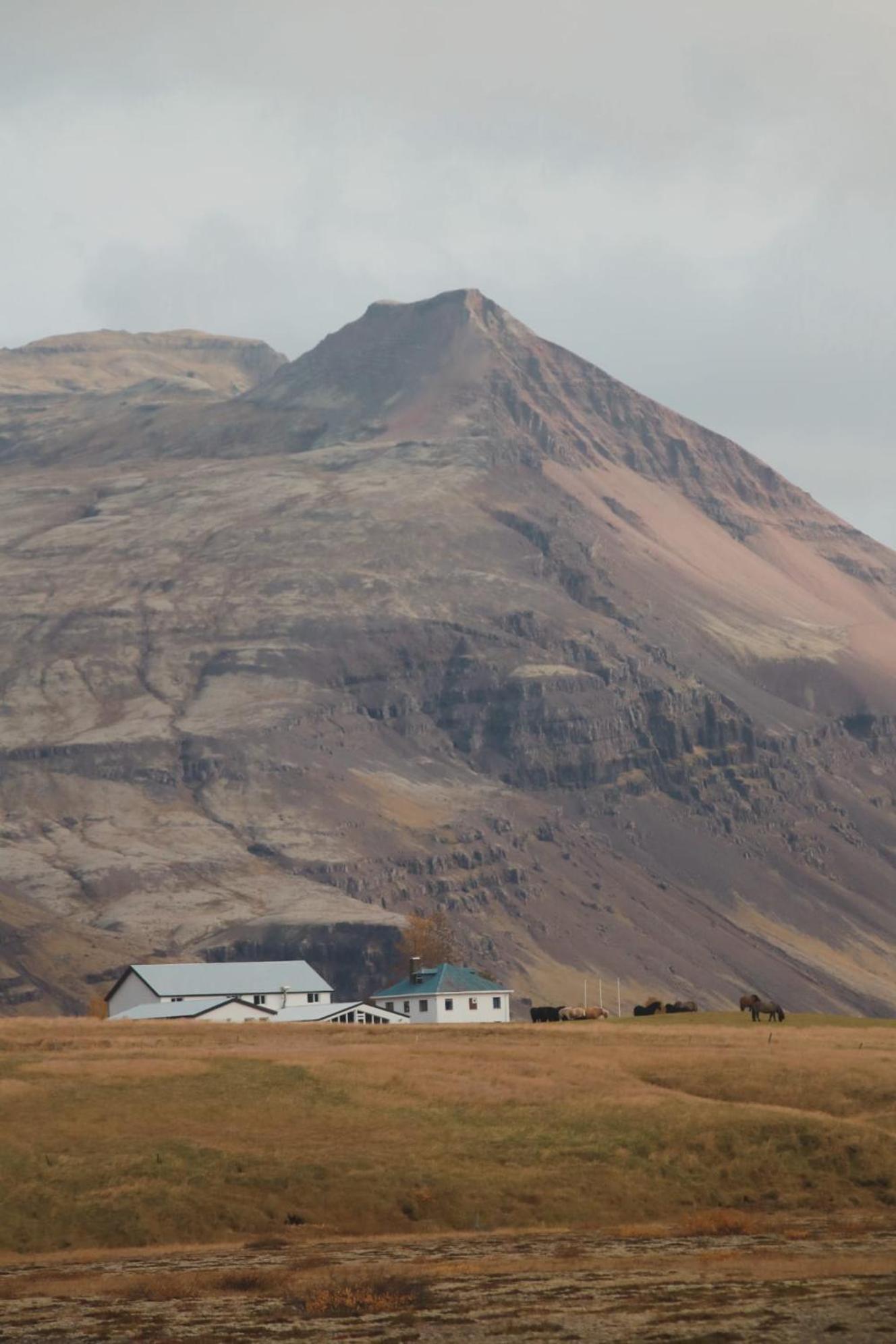 Glacier World - Hoffell Guesthouse Exterior photo