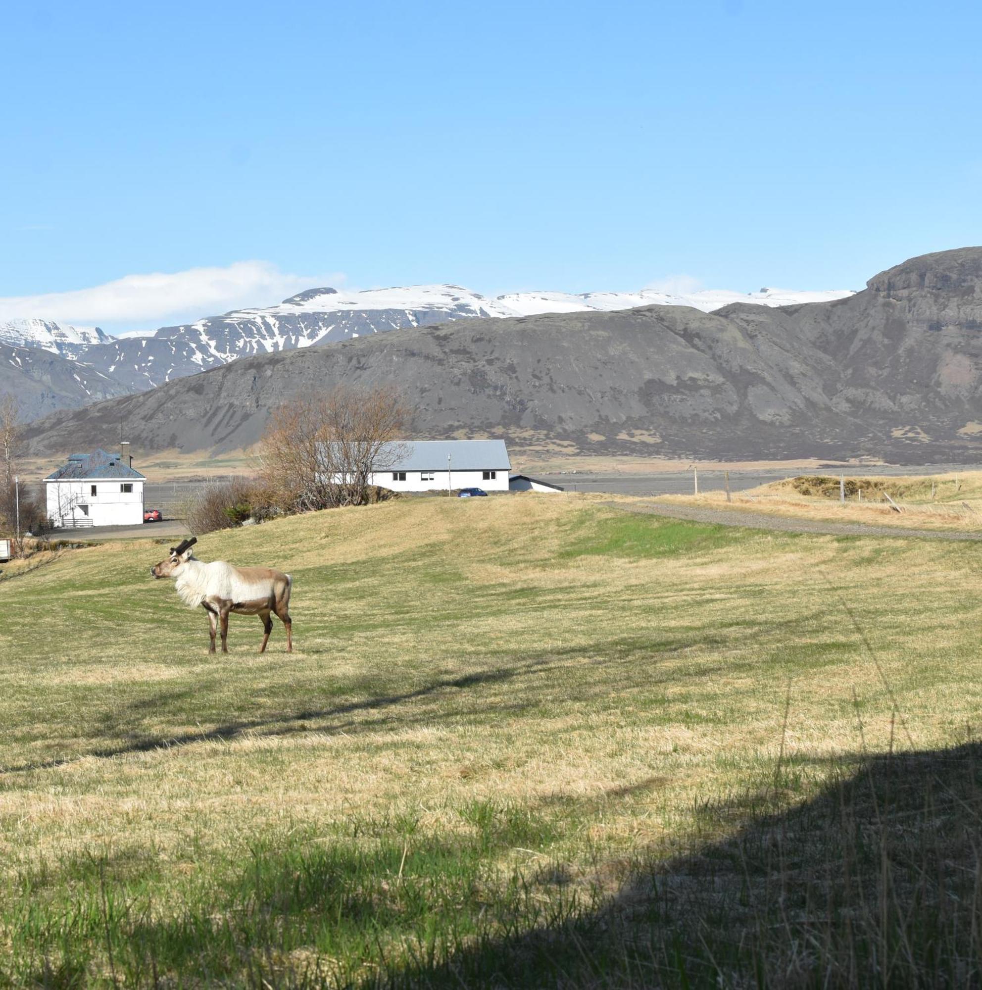 Glacier World - Hoffell Guesthouse Exterior photo